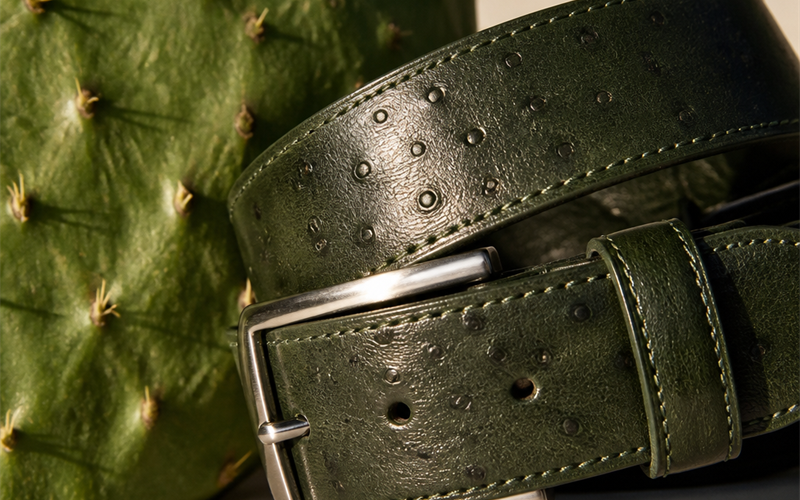 Cactus, Mushroom & Apple Leather Belts — Real or Marketing?