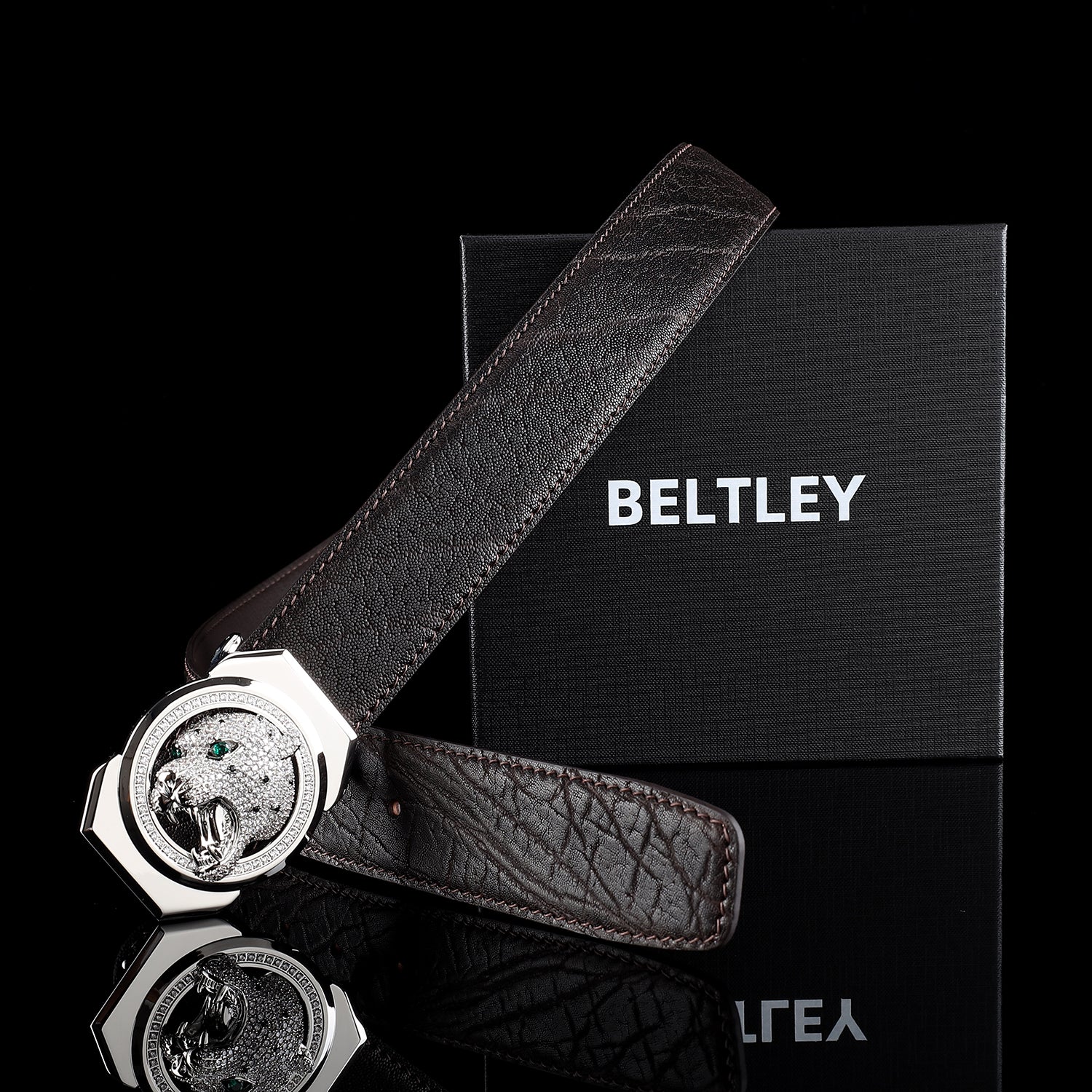 BELTLEY Espresso Brown Elephant Belt with Roaring Leopard Buckle