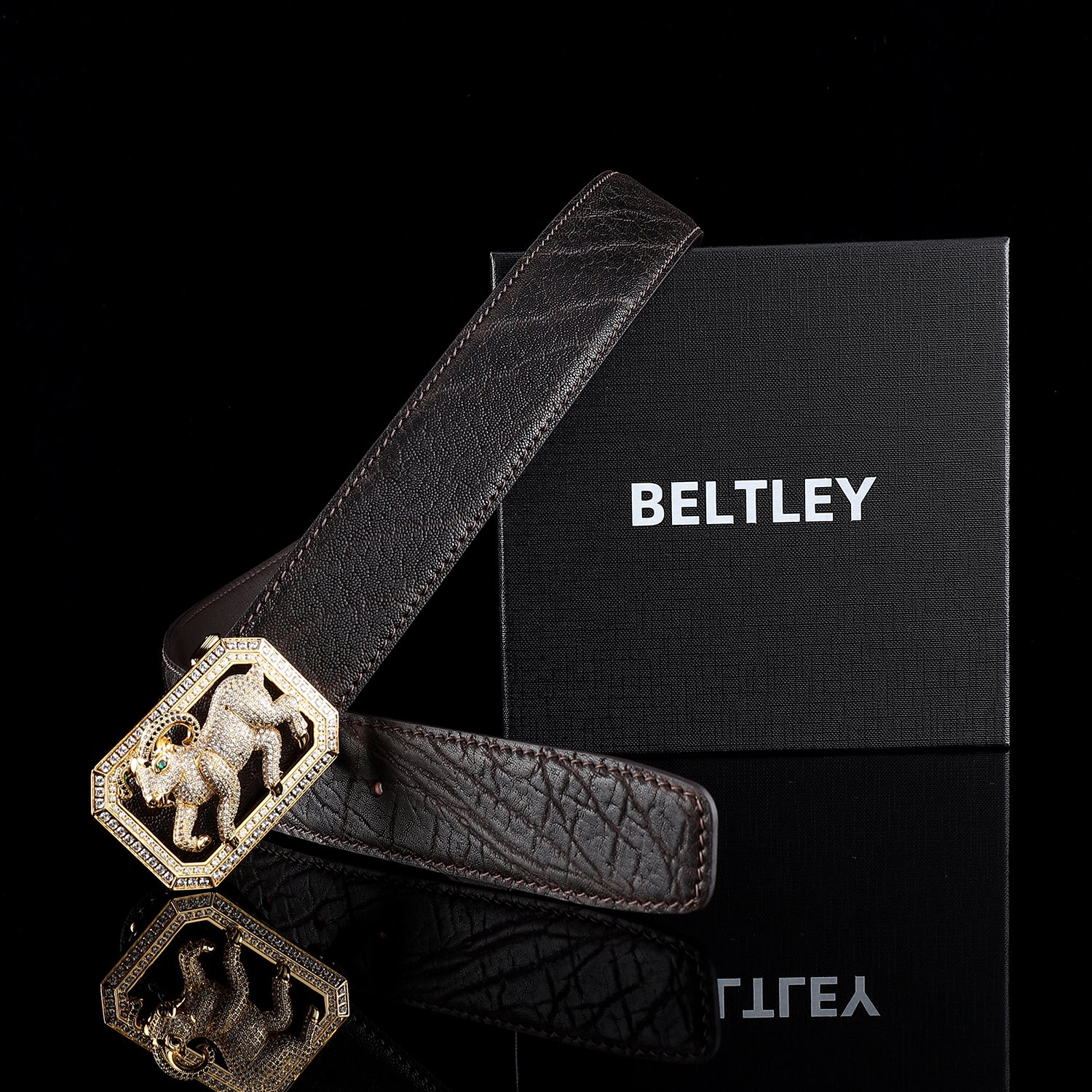 BELTLEY Espresso Brown Genuine Elephant Belt-Goat Buckle