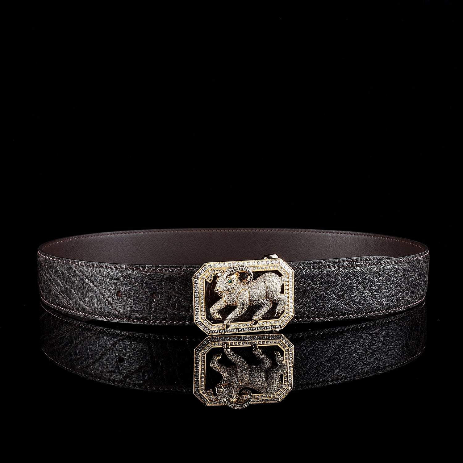 BELTLEY Espresso Brown Genuine Elephant Belt-Goat Buckle