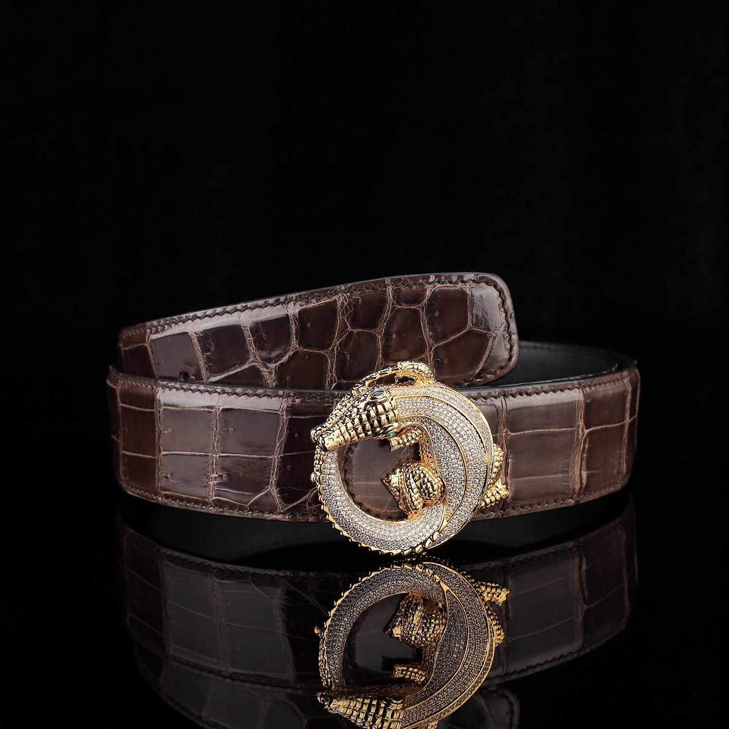 BELTLEY Espresso Brown Glossy Nile Crocodile Belt
