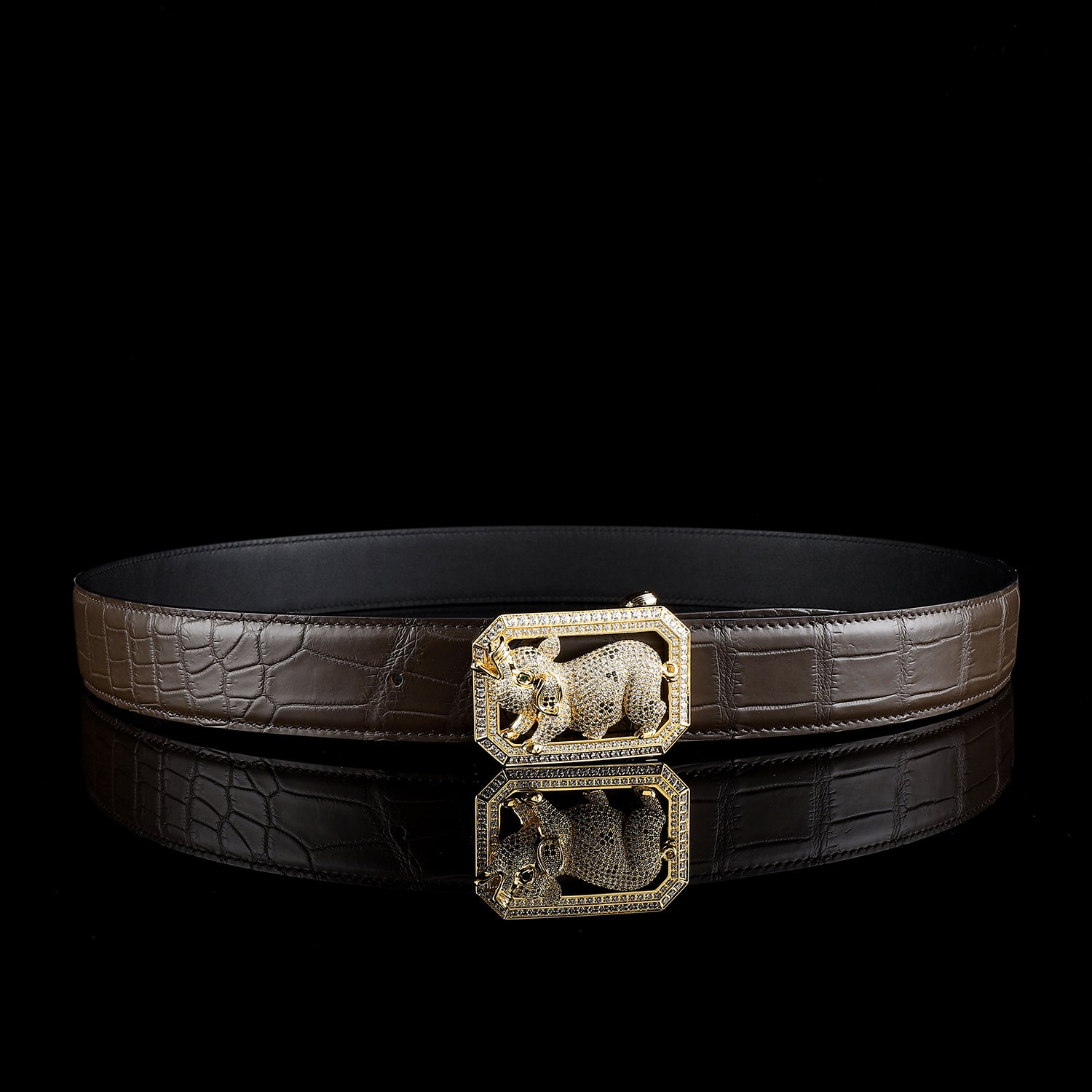 BELTLEY Espresso Real Crocodile Belt With Pig Buckle