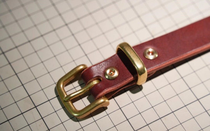 What Paint to Use on a Leather Belt? (Quick GUIDE)