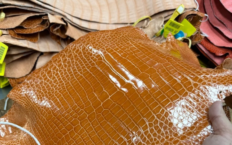 Is It Alligator or Crocodile? A Quick Guide to the 4 Leathers You'll Encounter