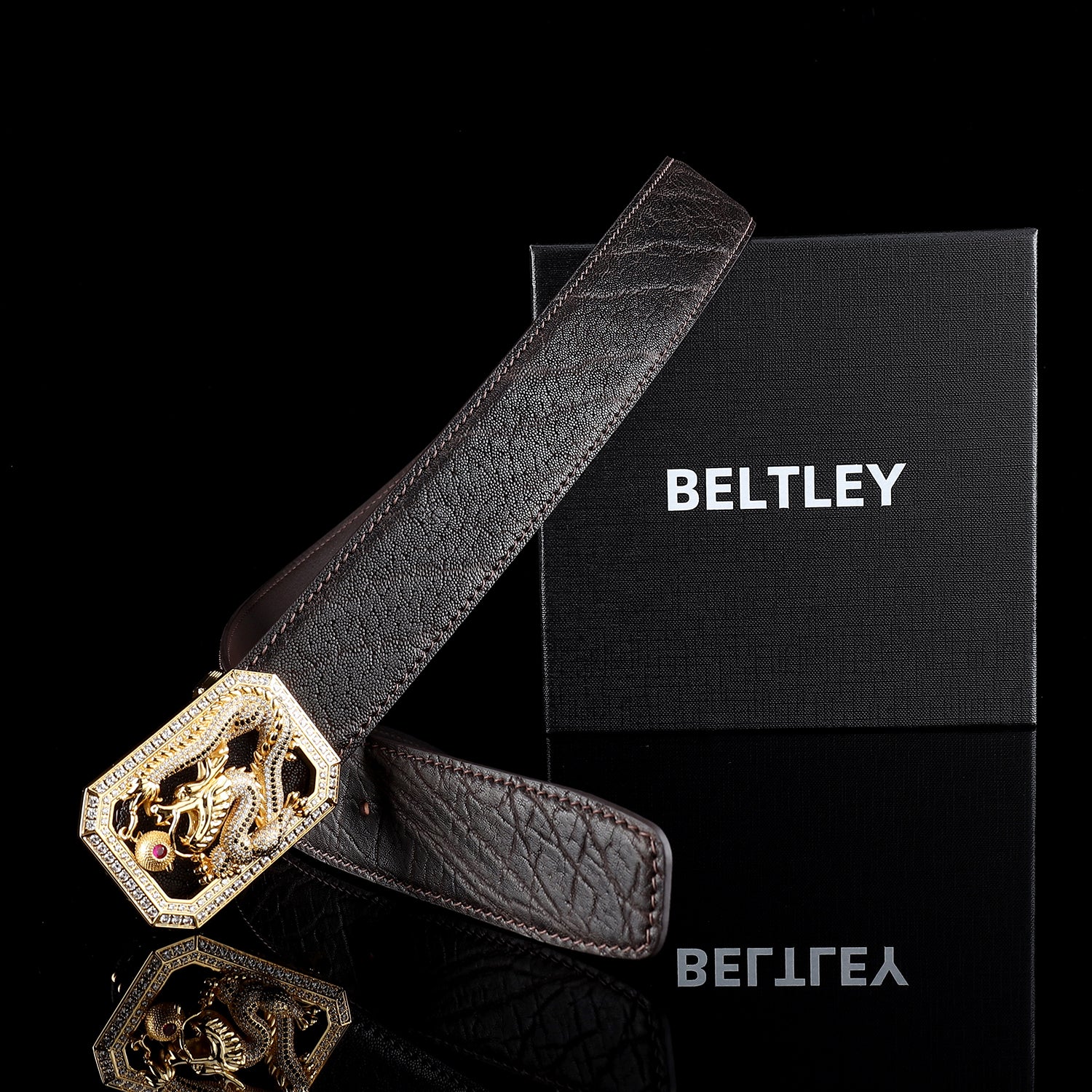 BELTLEY Espresso Brown Genuine Elephant Hide Belt with Dragon Buckle