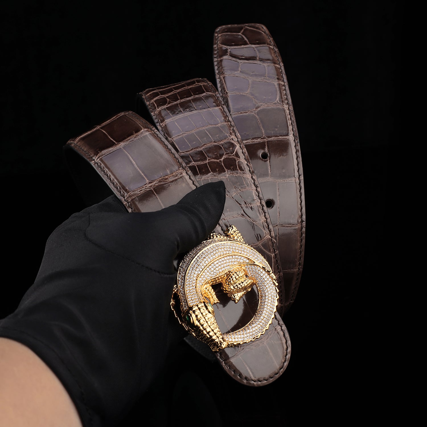BELTLEY Espresso Brown Glossy Nile Crocodile Belt