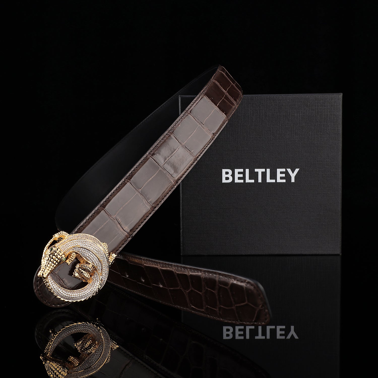 BELTLEY Espresso Brown Glossy Nile Crocodile Belt