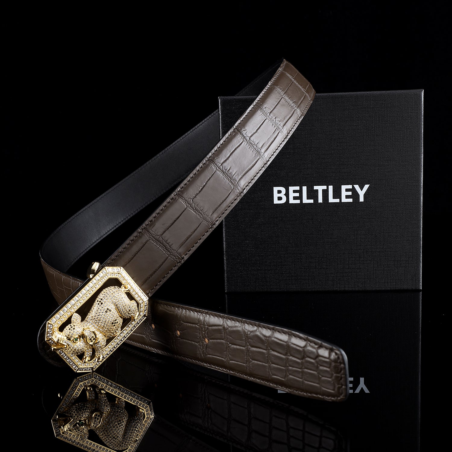 BELTLEY Espresso Real Crocodile Belt With Pig Buckle