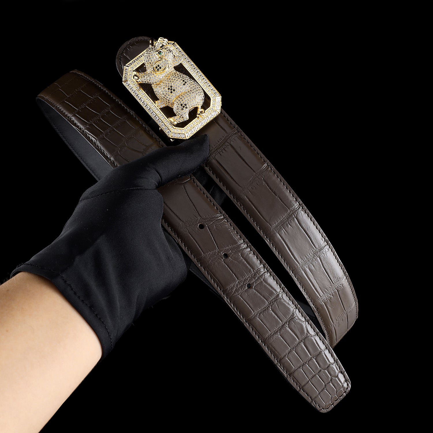 BELTLEY Espresso Real Crocodile Belt With Pig Buckle