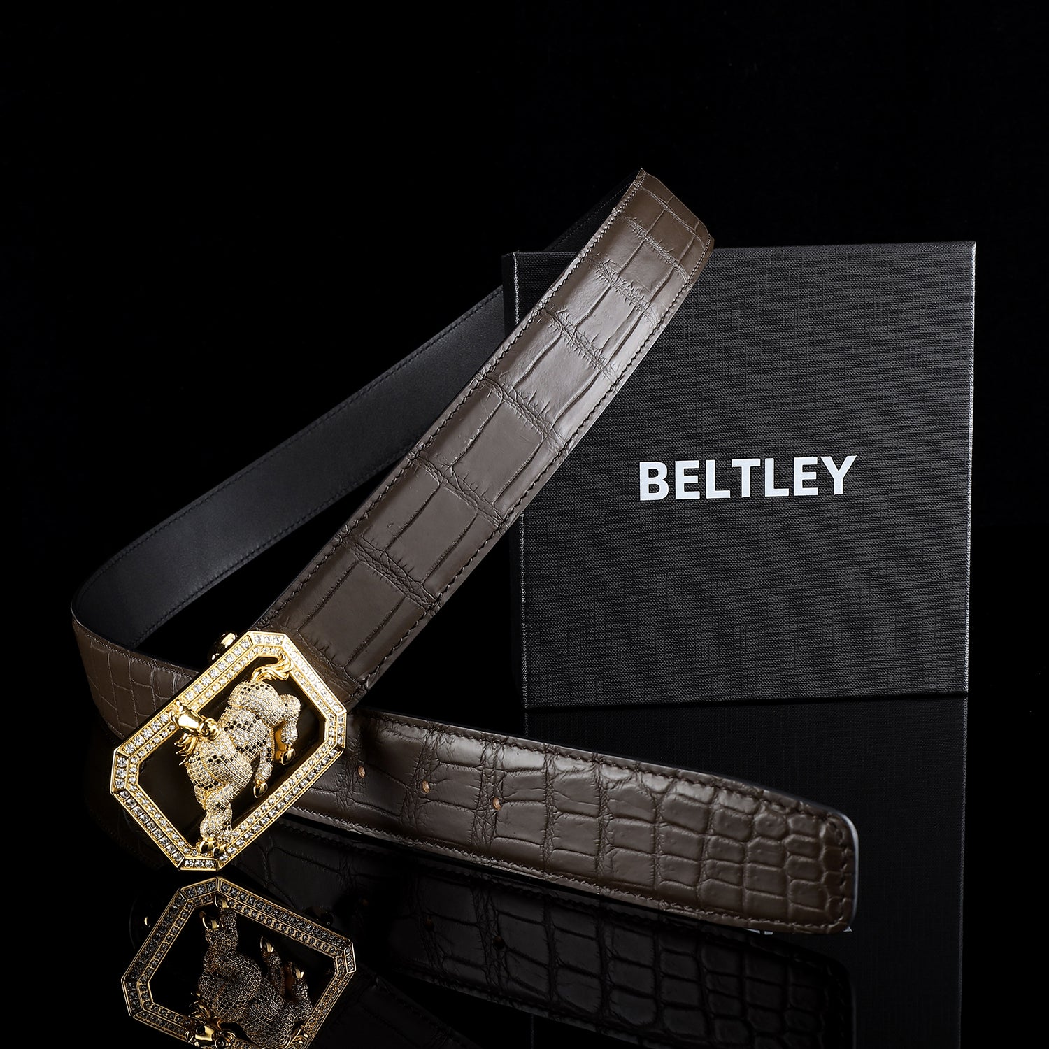 BELTLEY Real Crocodile Skin Belt with Horse Buckle – Espresso Brown